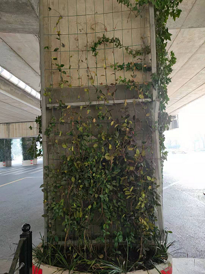 602dd47527e1d.jpg 圖片2.jpg